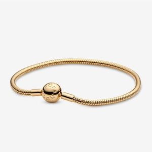 Pandora Bracelet + Charms